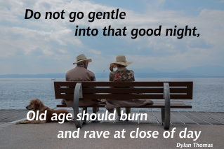 Do not go gentle into that good night Dylan Thomas