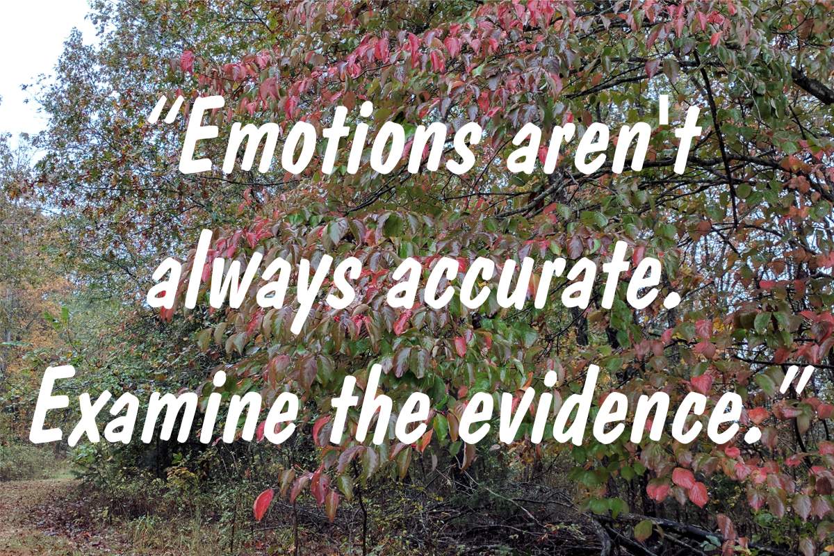 Emotions aren't always accurate. Examine the evidence.