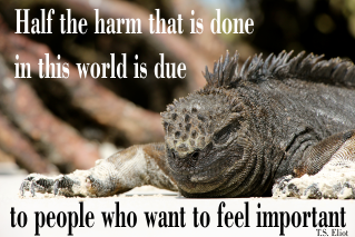 Half the harm that is done in this world is due to people who want to feel important. T.S. Eliot