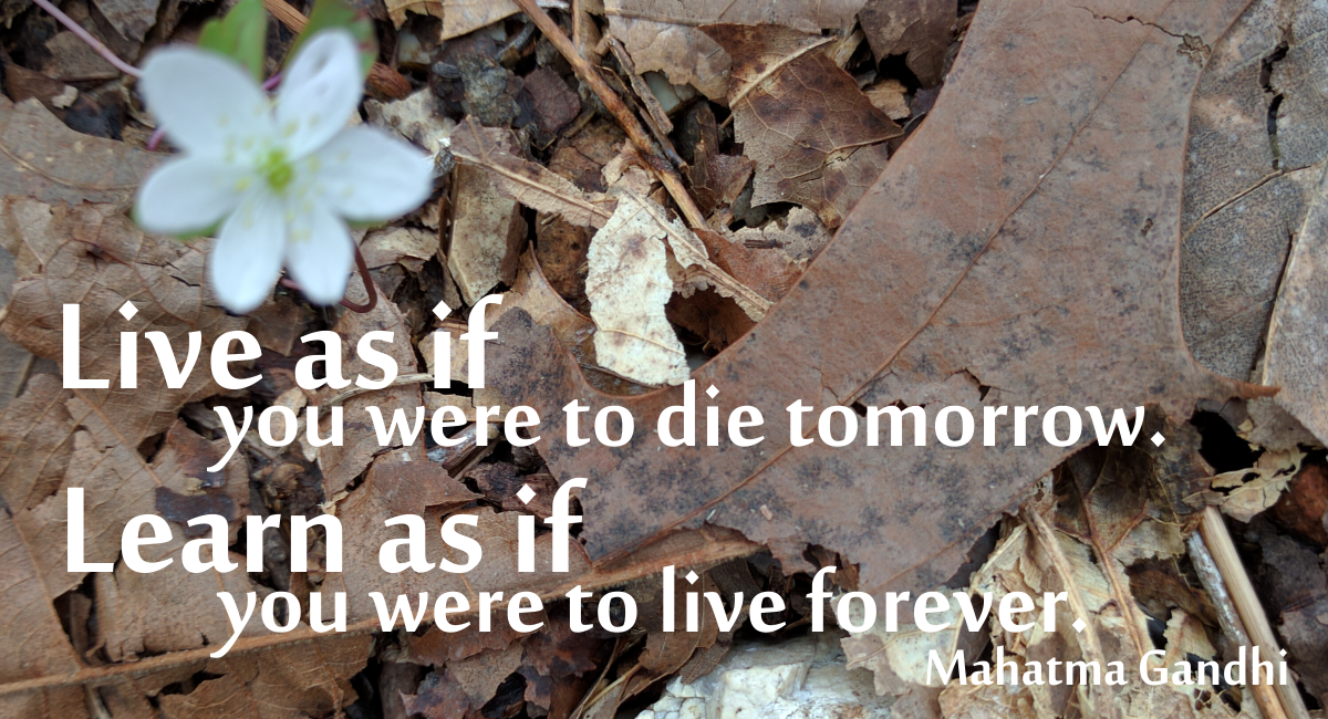 Live as if you were to die tomorrow. Learn as if you were to live forever. Mahatma Ghandi