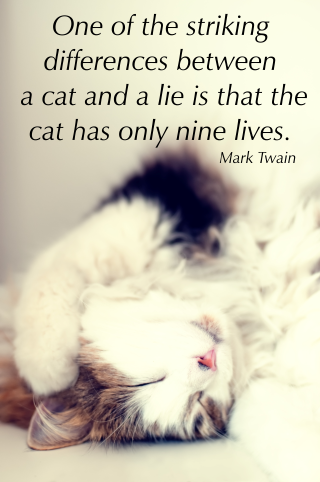 One of the most striking differences between a cat and a lie is that a cat has only nine lives. Mark Twain