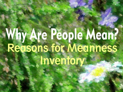 Why Are People Mean? Reasons for Meanness Inventory