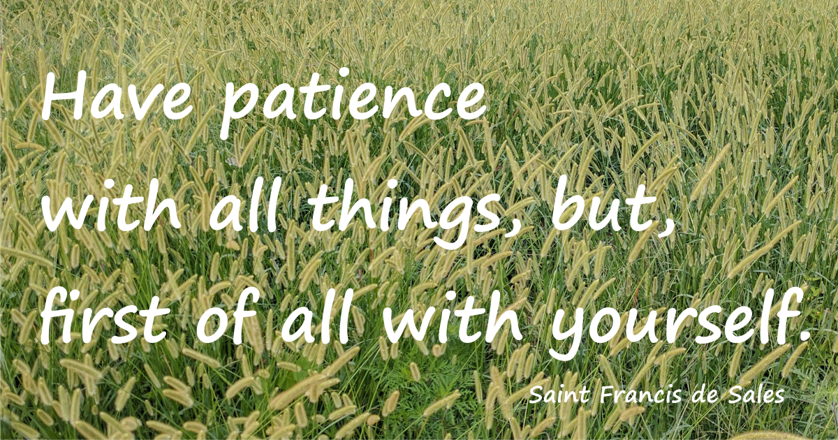 Have patience with all things, but, first of all with yourself. St. Francis de Sales