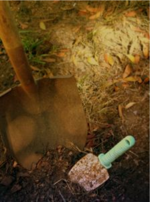 Shovel--digging in the garden
