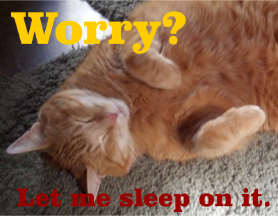 sleeping cat with caption: "Worry? Let me sleep on it."